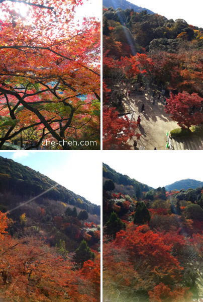 Autumn Foliage @ Kiyomizu-dera, Kyoto
